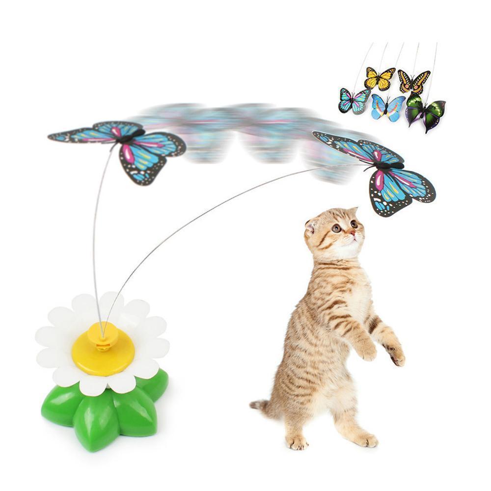 Jouet interactif pour chats